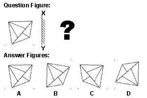 Mirror and Water Image Test: IQ and Logical Reasoning Questions, Tricks, and Practice