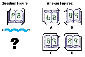 Mirror and Water Image Test: IQ and Logical Reasoning Questions, Tricks, and Practice